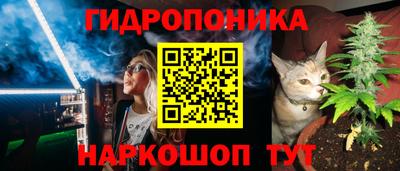 дмт Обь